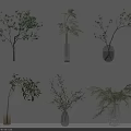 Elegant Glass Vases With Green Plants And Decorative Branches On White Shelves