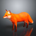 Red Fox With Orange Red Fur Standing On Gray Background With Reflection 3d model
