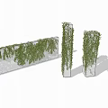 Green Vines Growing On White Pillars And Wall For Decorative Outdoor Design