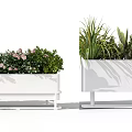 Rectangular White Planters with Potted Green Plants and Pink Flowers on Stands 3d model