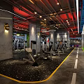Modern Gym Interior With Treadmills Weight Machines And Green Wall Decor