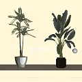 Indoor Decorative Potted Plants with Fern and Broad Leaf in White and Gray Ceramic Pots