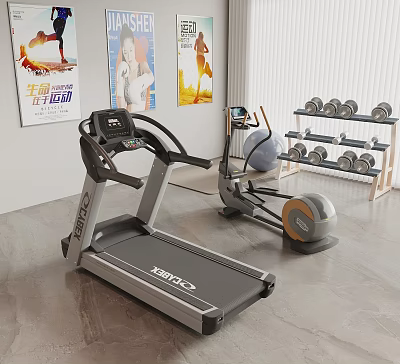 Essential Sports Equipment in Home Gym with Treadmill Exercise Bike Dumbbells and Fitness Posters 3d model