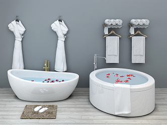 Modern Bathtub 3d model