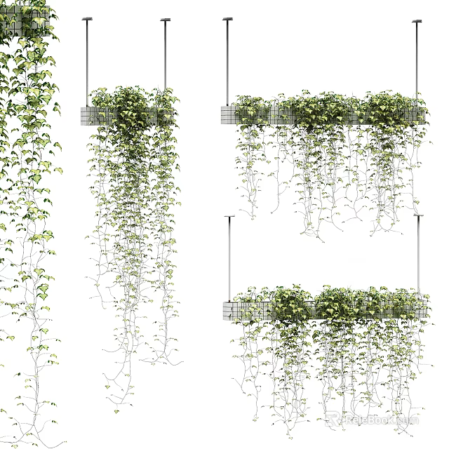 Stylish Hanging Basket Plants With Cascading Green Vines For Indoor Decor 3d model 