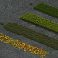 Vibrant Plant Combinations with Orange Yellow Flowers and Green Purple Strips Arranged on Gray Ground