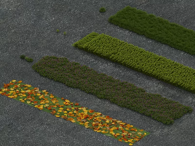 Vibrant Plant Combinations with Orange Yellow Flowers and Green Purple Strips Arranged on Gray Ground 3d model
