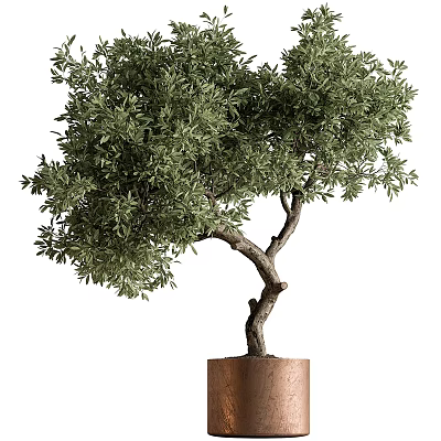 Bonsai Plant With Curved Trunk Lush Green Foliage In Copper Pot Indoor Decor 3d model