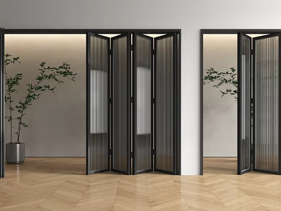 Modern Interior Folding Doors With Black Frames Transparent Panels And Wooden Flooring 3d model