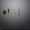 Various Green Plants With Different Leaves And Grass Arranged On Gray Background With Ground Reflection
