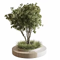 Outdoor Landscape Seat With Circular Wooden Concrete Base And Green Tree Grass Design