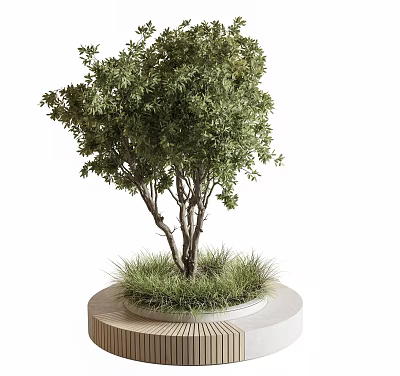 Outdoor Landscape Seat With Circular Wooden Concrete Base And Green Tree Grass Design 3d model