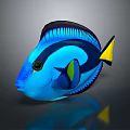 Vibrant Blue Tropical Fish Featuring Yellow Tail Black Stripes And Shiny Scales
