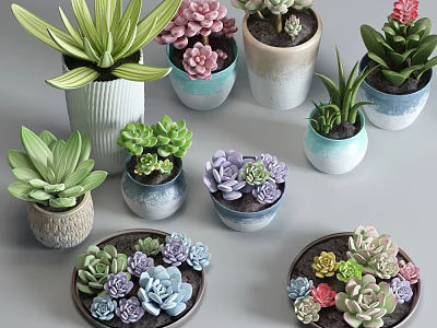 Succulent Potted Plants with Various Colorful Decorative Pots and Diverse Varieties 3d model