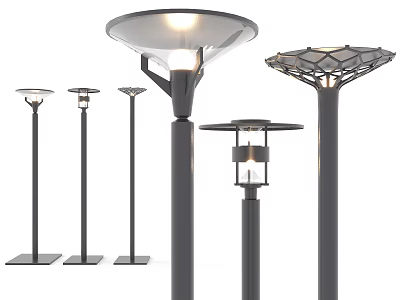 Various Outdoor Lights Featuring Different Top Designs And Black Lamp Posts 3d model