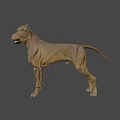 Realistic Brown Dog 3D Model With Detailed Fur And Expressive Features