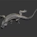Realistic Gray Lizard 3D Model With Detailed Scales And Long Tail 3d model