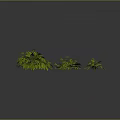 Lush Green Bamboo With Different Sizes And Vibrant Leaves On Dark Background 3d model