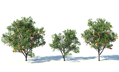 The Modern Tree 3d model