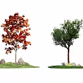 The Modern Tree 3d model