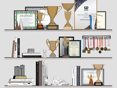 Trophies and Medals Display on Shelves With Certificates and Books 3d model