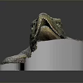Detailed Crocodile Model with Scaly Skin Open Jaws Surrounded by Plants Rocks on Display Stand