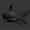 Realistic Shark Model With Open Mouth Sharp Teeth Gray And White Body And Reflective Surface 3d model