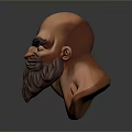 Man 3D Head Model With Bald Head Thick Beard And Detailed Facial Features 3d model