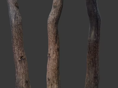 Three Natural Arbor Trunks With Rough Texture And Dark Brown Surface 3d model