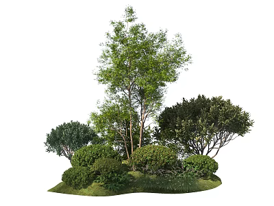 Various Types of Green Leafy Shrubs in Garden Landscape With Lush Foliage Arrangement 3d model