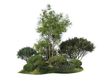 Modern Shrub Plant Combination 3d model