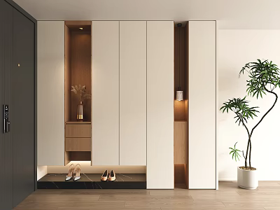 Modern Shoe Cabinet Interior Design With White Panels Wooden Accents Shoes And Potted Plant 3d model