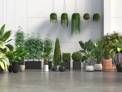 Bonsai and Potted Plants Green Varieties with Hanging and Floor Designs for Modern Indoor Decoration 3d model