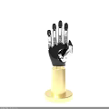 Robotic Hand Mechanical Structure Display On Golden Base Stand