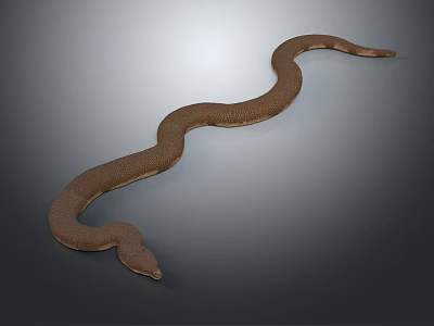Realistic Brown Snake With Curved Body On Grey Gradient Background 3d model