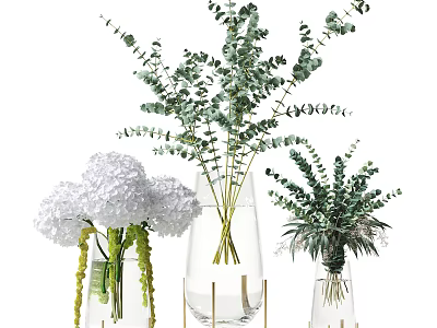 Decorative Glass Vases With Eucalyptus Branches And White Hydrangea Blooms 3d model