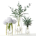 Decorative Glass Vases With Eucalyptus Branches And White Hydrangea Blooms