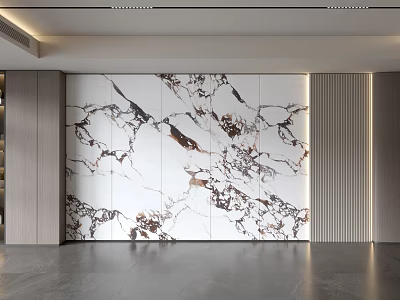 Modern Sofa Background Wall with Elegant Marble Texture Vertical Striped Wood Paneling Gray Floor Lighting 3d model