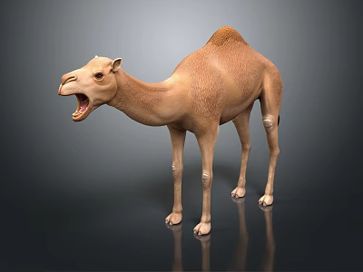 Light Brown Camel with Open Mouth Standing on Reflective Gray Surface 3d model