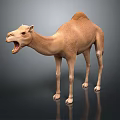Light Brown Camel with Open Mouth Standing on Reflective Gray Surface