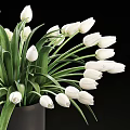 White Tulips in Black Vase with Green Leaves and White Bowl on Stacked Books