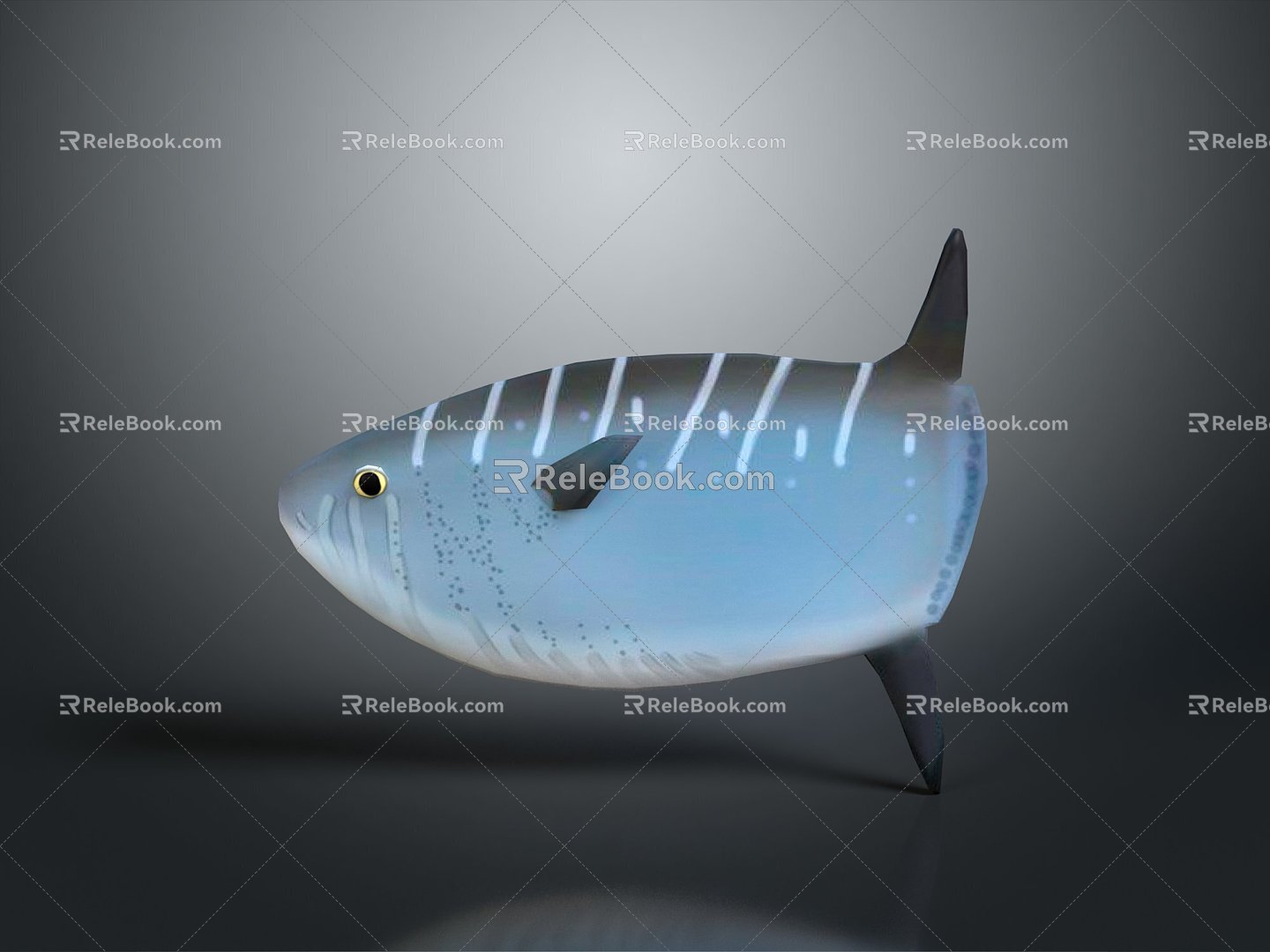 Fish Freshwater Fish Sea Fish Animal Game Animal Cartoon Animal Realistic Animal 3d model