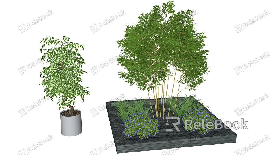 Modern Bamboo Plant Group model