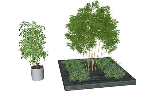 Modern Bamboo Plant Group 3d model