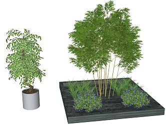 Modern Bamboo Plant Group 3d model