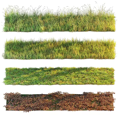 Various Types of Natural Garden Grass with Green Yellow and Brown Color Hues 3d model