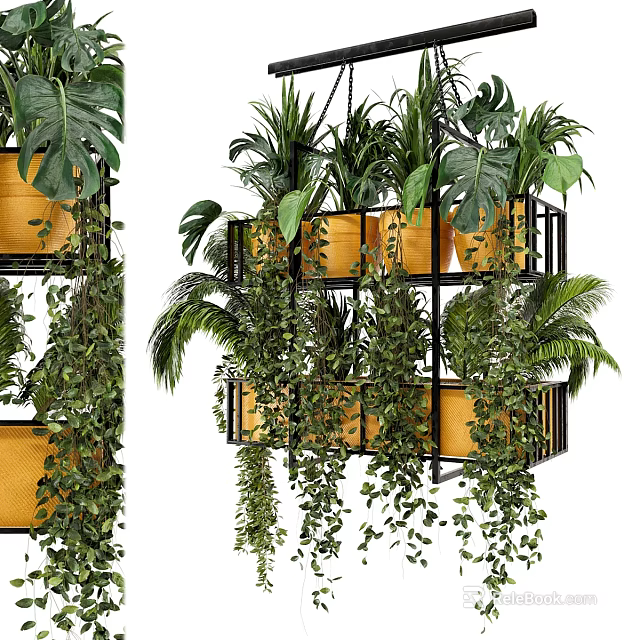 Hanging Green Plants In Multi Tiered Metal Frame With Yellow Pots Monstera Ferns And Vines 3d model 