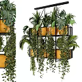 Hanging Green Plants In Multi Tiered Metal Frame With Yellow Pots Monstera Ferns And Vines