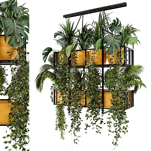 Modern hanging basket hanging plant 3d model