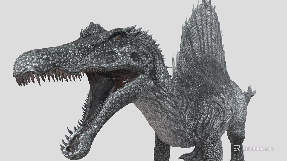 Realistic Spinosaurus Dinosaur With Open Mouth And Sailback Scaly Skin 3d model 